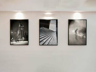 Studio Eucalia